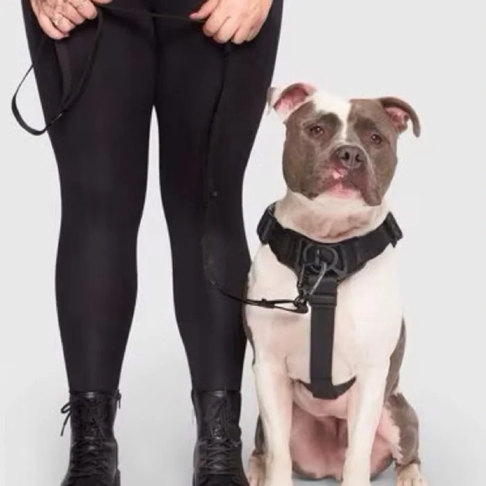Canada Pooch Complete Control Dog Harness, Black, Large Brand New - Picture 14 of 15